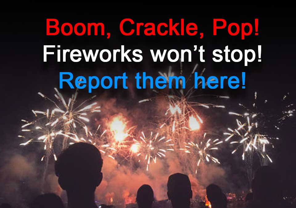 Report Fireworks